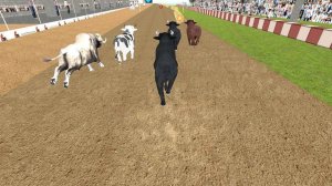 Rapid Bull Dash