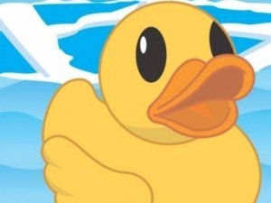 Quack Flow Logic Puzzles