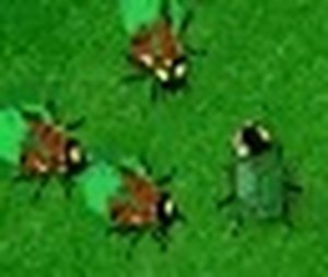 Beetle Champions Arena Action