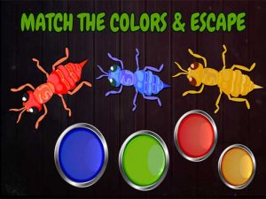 Color Ants Puzzle