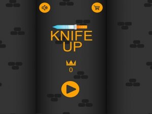 Precision Throw Arcade Challenge