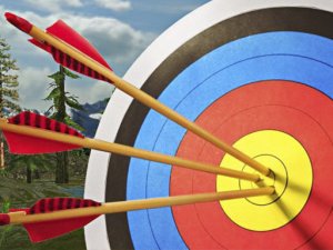 Archery Master 3D Arcade Game