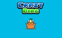 Crazy Bird - Arcade Flier Game