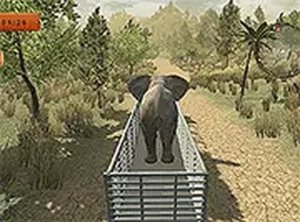 Woodland Cargo Delivery